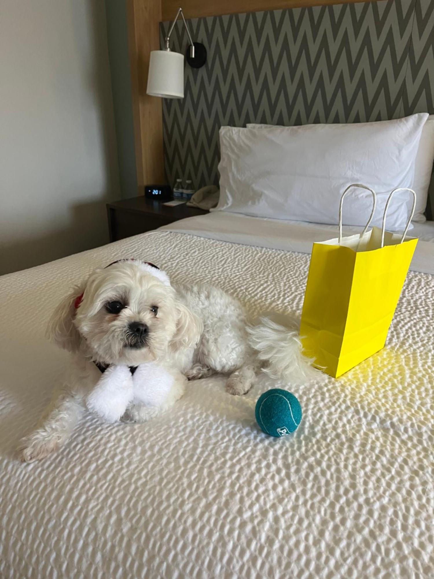 Holiday Inn Orlando International Airport By Ihg Exteriör bild